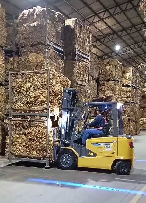 三亿体育鲲鹏电动叉车：烟草运输的安全高效新选择